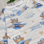 خرس خلبان - تصویر 2